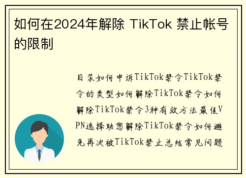 如何在2024年解除 TikTok 禁止帐号的限制